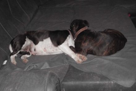 silent and powerfull by Hartel