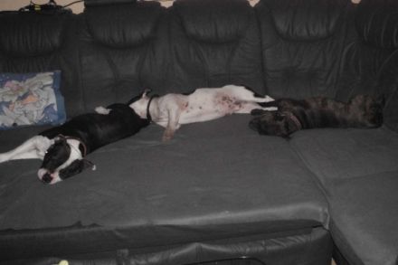 silent and powerfull by Hartel