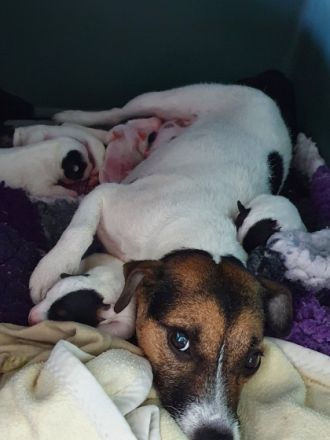 von der Klosterruine