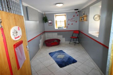 Michls Hundetreff Ausbildungszentrum & Hundehotel