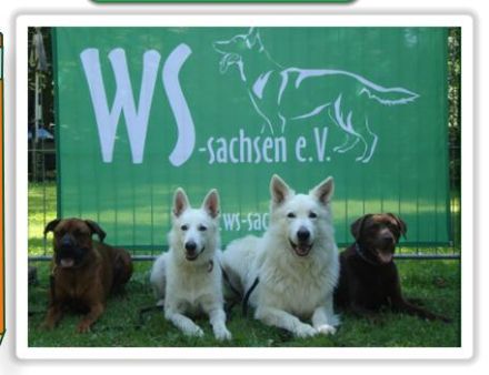 Hundeschule "Mit Strategie zum Erfolg"