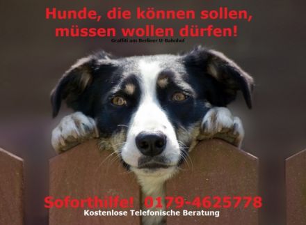 GrenzFelle Problemhundetherapie Manfred Hauk