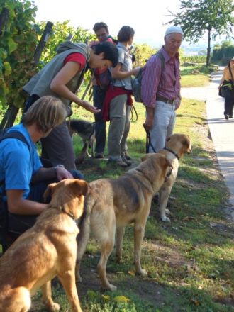 Mobile Hundeschule Göttingen