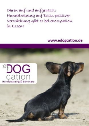 eDOGcation | Hundetraining & Seminare
