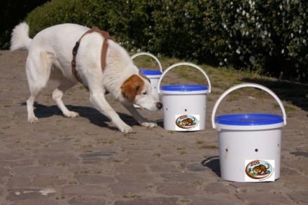 ZOS-Niedersachsen  Ziel-Objekt-Suche und mehr ...