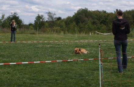 ZOS-Niedersachsen  Ziel-Objekt-Suche und mehr ...