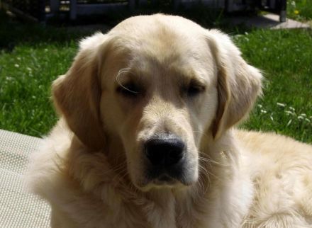 George vom Möhnesee