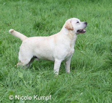 Denver & Eragon-Cooper