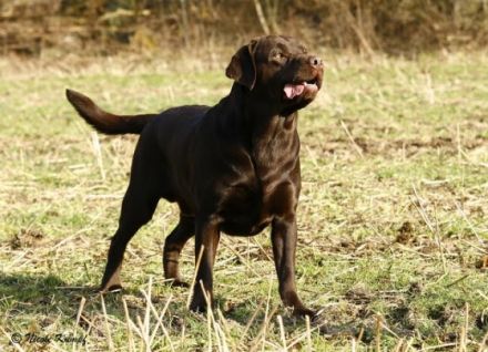 Denver & Eragon-Cooper