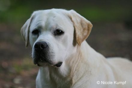 Denver & Eragon-Cooper