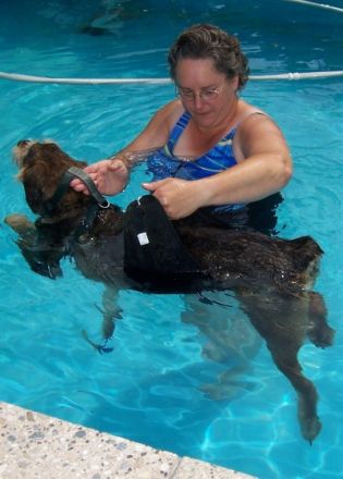 Hundephysiotherapie Anni Grabrucker