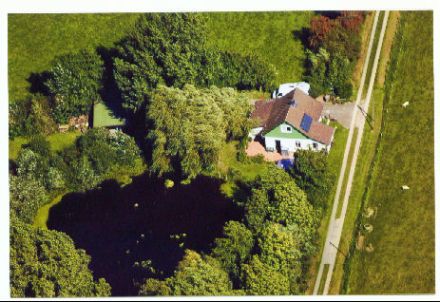 Hundetraum Friedrichskoog