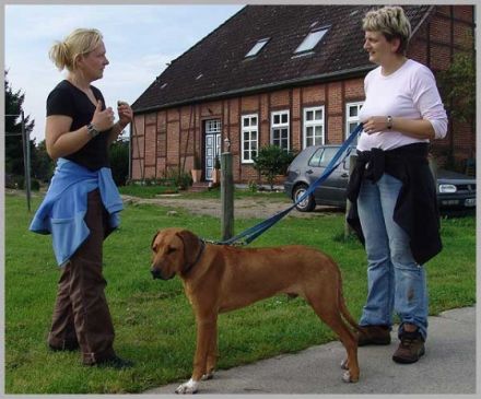 Katja Meyn - Trainings für Menschen mit Hund