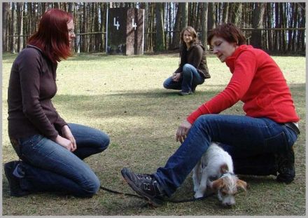 Katja Meyn - Trainings für Menschen mit Hund