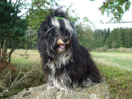 El´Linus vom Sonnenstrahl