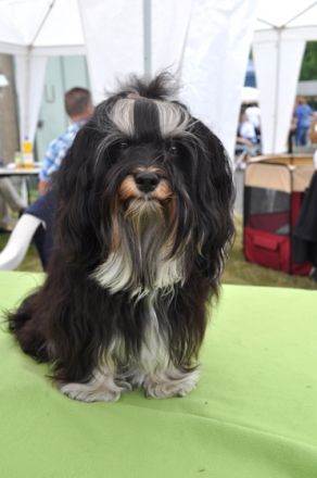 El´Linus vom Sonnenstrahl