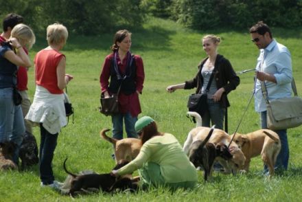 Hundeschule Nano Köln
