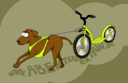 Hunde -und Zughundeschule Abenteuerhun.de