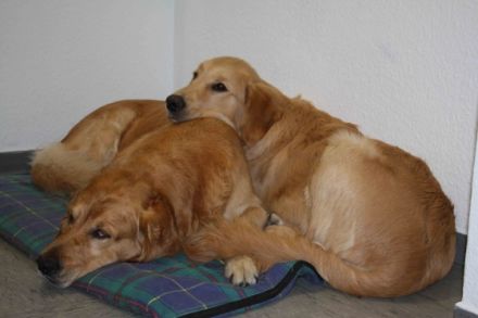 Eyko from Meadowview