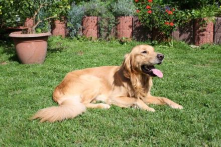 Eyko from Meadowview