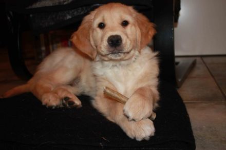 Eyko from Meadowview