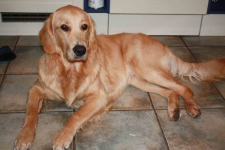 Eyko from Meadowview