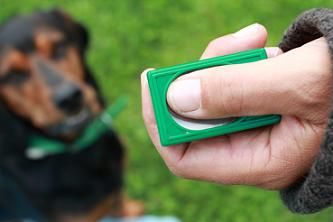 Hundeschule Hogendorf-Uhe