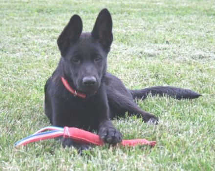 vom alten Wingertshaus