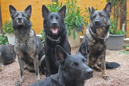 vom alten Wingertshaus