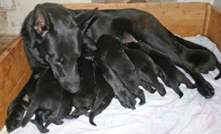 vom alten Wingertshaus