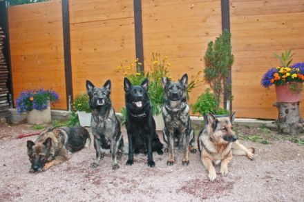 vom alten Wingertshaus