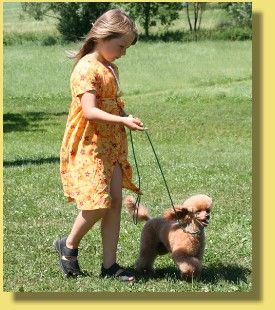 von den Schwarzen Bergen