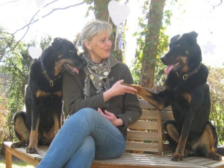 Hundezentrum Büchen