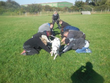 Teampartner - Hund - Hoya e.V.