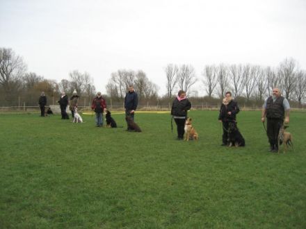 Teampartner - Hund - Hoya e.V.