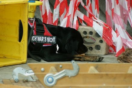 Hundeschule Aktive Schnüffelnasen, Zielobjektsuche