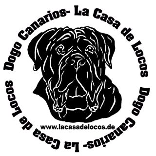 La Casa de Locos