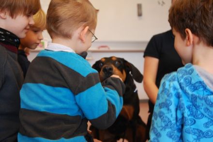 Hundepädagoge - Hunde sind unsere Leidenschaft