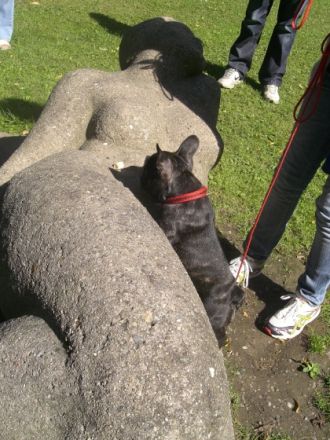 Hundepädagoge - Hunde sind unsere Leidenschaft