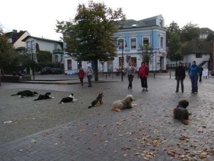 Hundeschule Britta Grunau