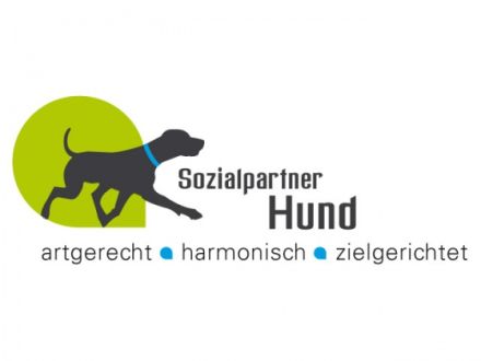 Sozialpartner Hund