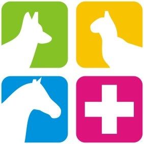 thplev.de Physiotherapie & Heilkunde am Tier Natascha Dahm