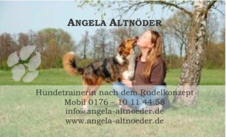 Hundetrainerin nach dem Rudelkonzept