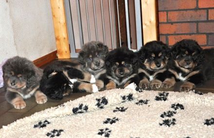 Khyunglung Ngulkhar's