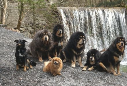 Khyunglung Ngulkhar's