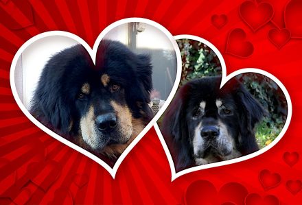 Khyunglung Ngulkhar's