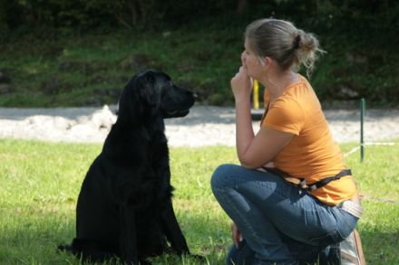 Hundetraining & Homöopathie Andrea Rütten