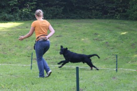 Hundetraining & Homöopathie Andrea Rütten