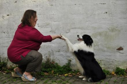 mobile Hundeschule sitz-platz-bleib
