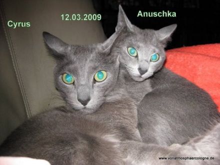 von Atmosphär Cologne